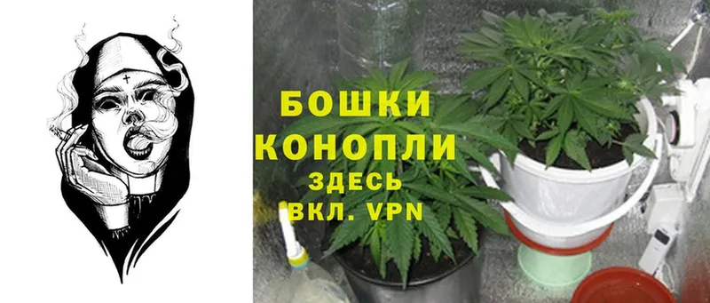 Конопля SATIVA & INDICA  закладки  Покровск 